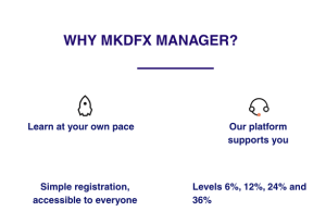 Mkdfx manager review
