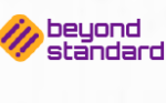 Beyond Standart review