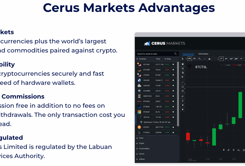 Cerus Markets Review