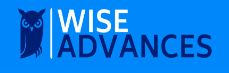 Wise Advances review